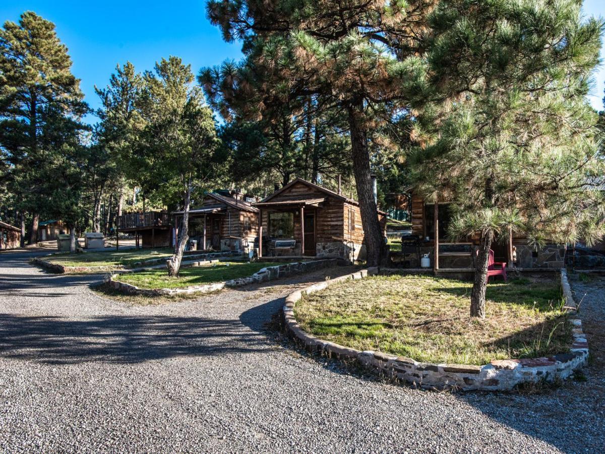 Destiny Cabin, 2 Bedrooms, Fireplace, Midtown, Sleeps 7 Руідозо Екстер'єр фото